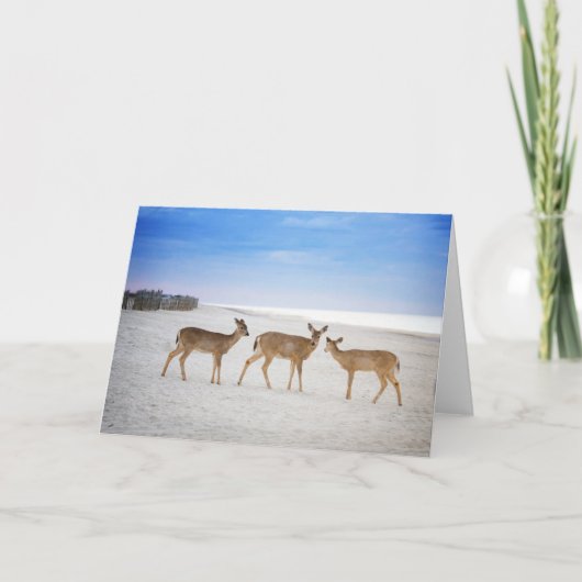 Kutest Baby Animals | Deer bij de strand Kaart (Voorkant)