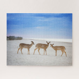 Kutest Baby Animals   Deer bij de strand Legpuzzel