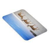 Kutest Baby Animals | Deer bij de strand Magneet (Rechterzijde)