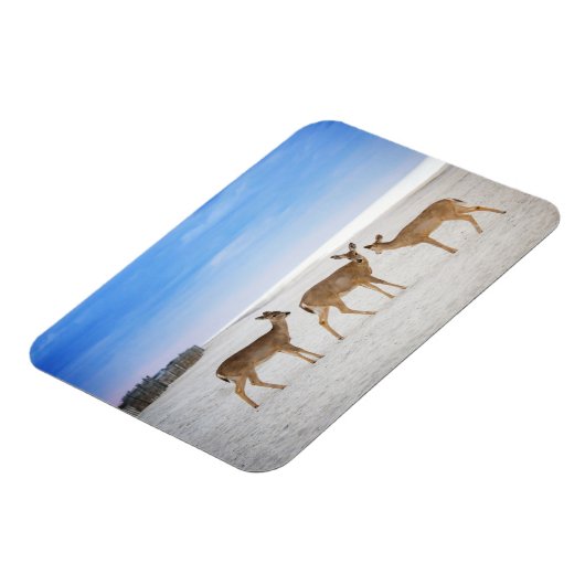 Kutest Baby Animals | Deer bij de strand Magneet (Linkerzijde)