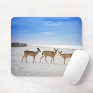 Kutest Baby Animals   Deer bij de strand Muismat