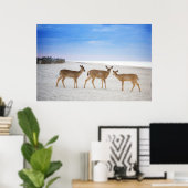 Kutest Baby Animals | Deer bij de strand Poster (Thuiskantoor)