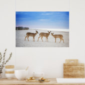 Kutest Baby Animals | Deer bij de strand Poster (Keuken)