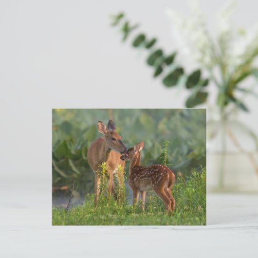 Kutest Baby Animals | Deer en Baby Briefkaart (Staand voorkant)