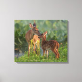 Kutest Baby Animals | Deer en Baby Canvas Afdruk (Voorkant)