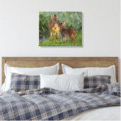 Kutest Baby Animals | Deer en Baby Canvas Afdruk (Insitu (Slaapkamer))