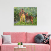 Kutest Baby Animals | Deer en Baby Canvas Afdruk (Insitu (Woonkamer))