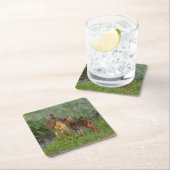 Kutest Baby Animals | Deer en Baby Kartonnen Onderzetters (Insitu)