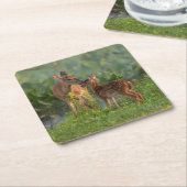 Kutest Baby Animals | Deer en Baby Kartonnen Onderzetters (Schuin)