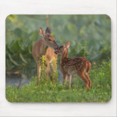 Kutest Baby Animals | Deer en Baby Muismat (Voorkant)