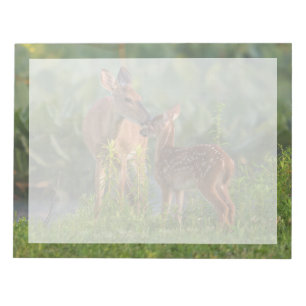 Kutest Baby Animals   Deer en Baby Notitieblok