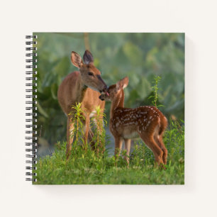 Kutest Baby Animals Deer en Baby Notitieboek