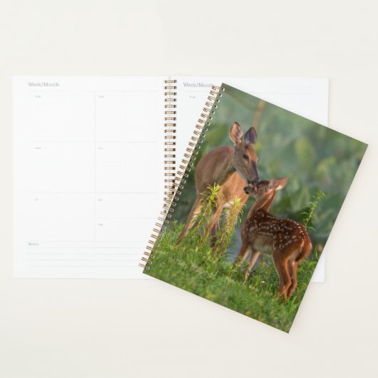 Kutest Baby Animals | Deer en Baby Planner (Display)