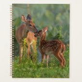 Kutest Baby Animals | Deer en Baby Planner (Voorkant)
