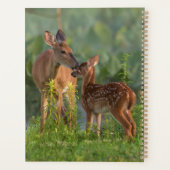 Kutest Baby Animals | Deer en Baby Planner (Achterkant)