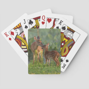 Kutest Baby Animals   Deer en Baby Pokerkaarten