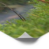 Kutest Baby Animals | Deer en Baby Poster (Hoek)