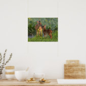 Kutest Baby Animals | Deer en Baby Poster (Keuken)
