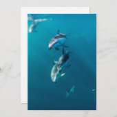 Kutest Baby Animals | Dolfijnenfamilie Bedankkaart (Voorkant / Achterkant)