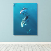 Kutest Baby Animals | Dolfijnenfamilie Canvas Afdruk (Insitu (Houten vloer))