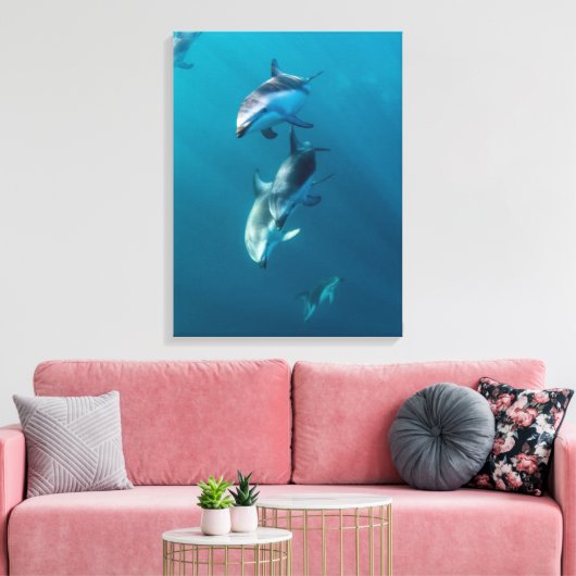 Kutest Baby Animals | Dolfijnenfamilie Canvas Afdruk (Insitu (Woonkamer))