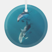Kutest Baby Animals | Dolfijnenfamilie Glas Ornament (Voorkant)