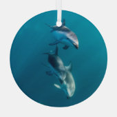 Kutest Baby Animals | Dolfijnenfamilie Glas Ornament (Achterkant)