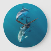 Kutest Baby Animals | Dolfijnenfamilie Grote Klok (Voorkant)