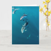 Kutest Baby Animals | Dolfijnenfamilie Kaart (Gele Bloem)