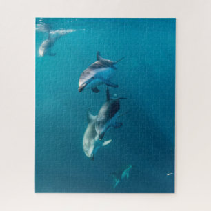 Kutest Baby Animals Dolfijnenfamilie Legpuzzel