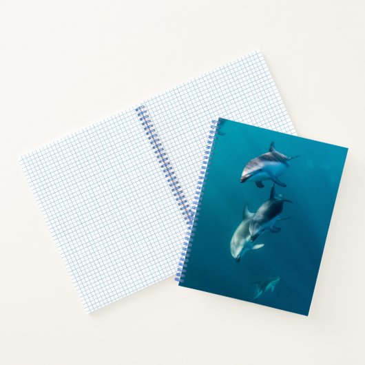 Kutest Baby Animals | Dolfijnenfamilie Notitieboek (Binnen)