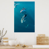 Kutest Baby Animals | Dolfijnenfamilie Poster (Keuken)