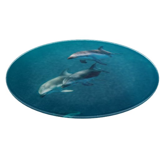 Kutest Baby Animals | Dolfijnenfamilie Snijplank (Hoek)