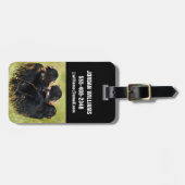 Kutest Baby Animals | Drie Chimpansees Hugging Bagagelabel (Voorkant horizontaal)