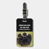 Kutest Baby Animals | Drie Chimpansees Hugging Bagagelabel (Voorkant verticaal)