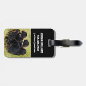 Kutest Baby Animals | Drie Chimpansees Hugging Bagagelabel (Achterkant horizontaal)