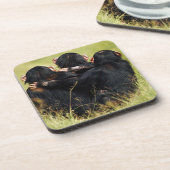 Kutest Baby Animals | Drie Chimpansees Hugging Bier Onderzetter (Linkerzijde)