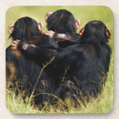 Kutest Baby Animals | Drie Chimpansees Hugging Bier Onderzetter (Voorkant)