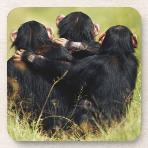 Kutest Baby Animals   Drie Chimpansees Hugging Bier Onderzetter