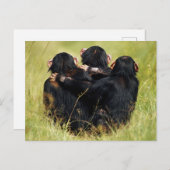 Kutest Baby Animals | Drie Chimpansees Hugging Briefkaart (Voorkant / Achterkant)