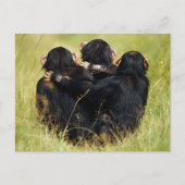 Kutest Baby Animals | Drie Chimpansees Hugging Briefkaart (Voorkant)