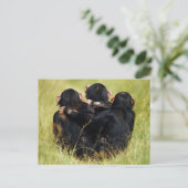 Kutest Baby Animals | Drie Chimpansees Hugging Briefkaart (Staand voorkant)