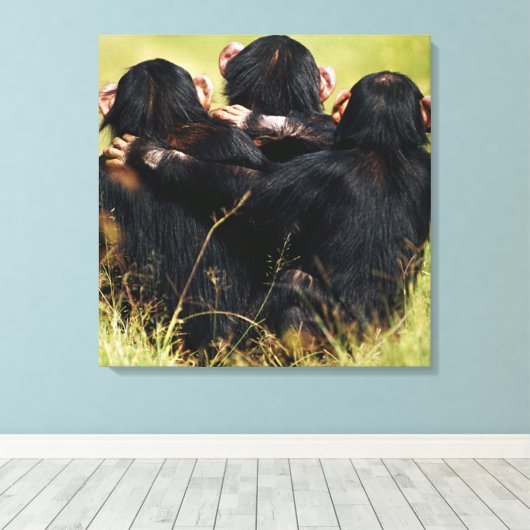 Kutest Baby Animals | Drie Chimpansees Hugging Canvas Afdruk (Insitu (Houten vloer))