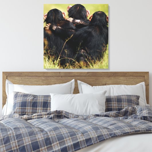 Kutest Baby Animals | Drie Chimpansees Hugging Canvas Afdruk (Insitu (Slaapkamer))