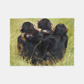 Kutest Baby Animals | Drie Chimpansees Hugging Fleece Deken (Voorkant (Horizontaal))