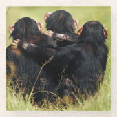 Kutest Baby Animals | Drie Chimpansees Hugging Glazen Onderzetter (Voorkant)