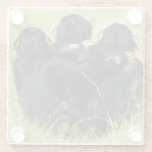 Kutest Baby Animals | Drie Chimpansees Hugging Glazen Onderzetter (Achterkant)