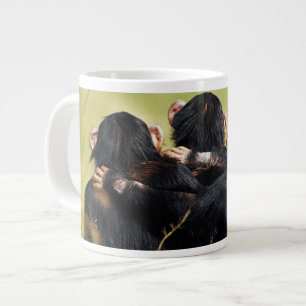 Kutest Baby Animals   Drie Chimpansees Hugging Grote Koffiekop