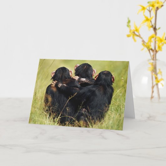 Kutest Baby Animals | Drie Chimpansees Hugging Kaart (Gele Bloem)