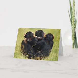 Kutest Baby Animals   Drie Chimpansees Hugging Kaart